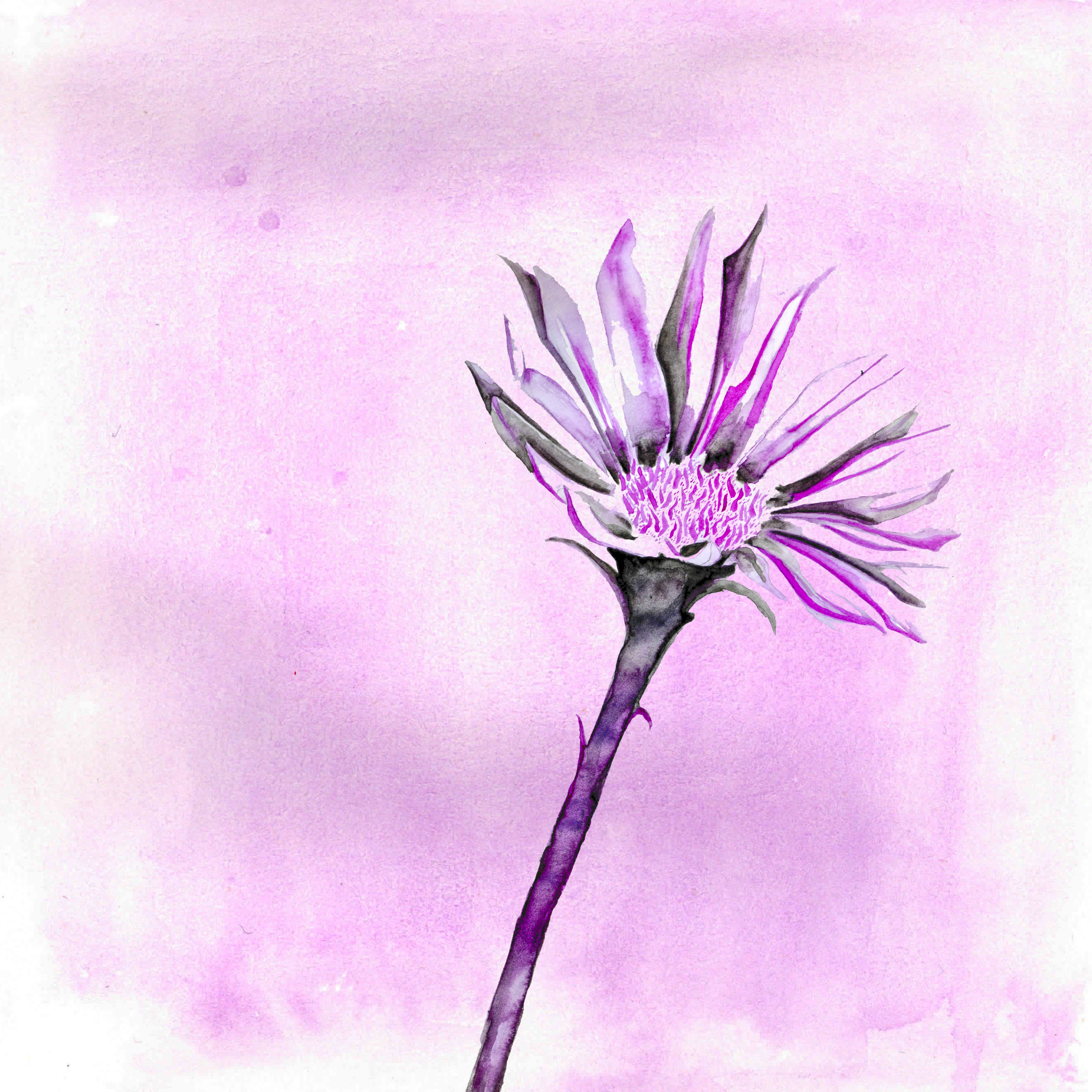 fleur seule