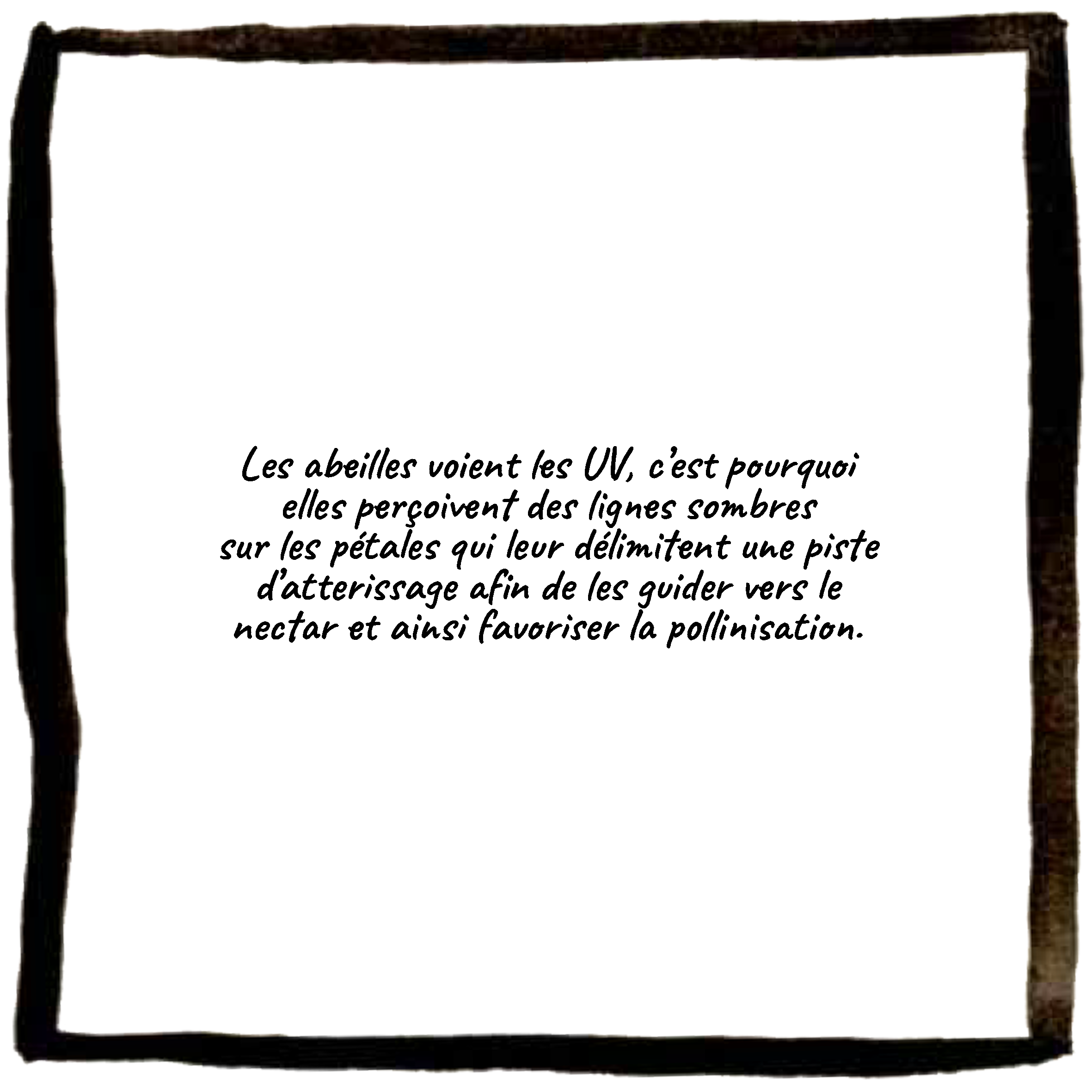 texte1