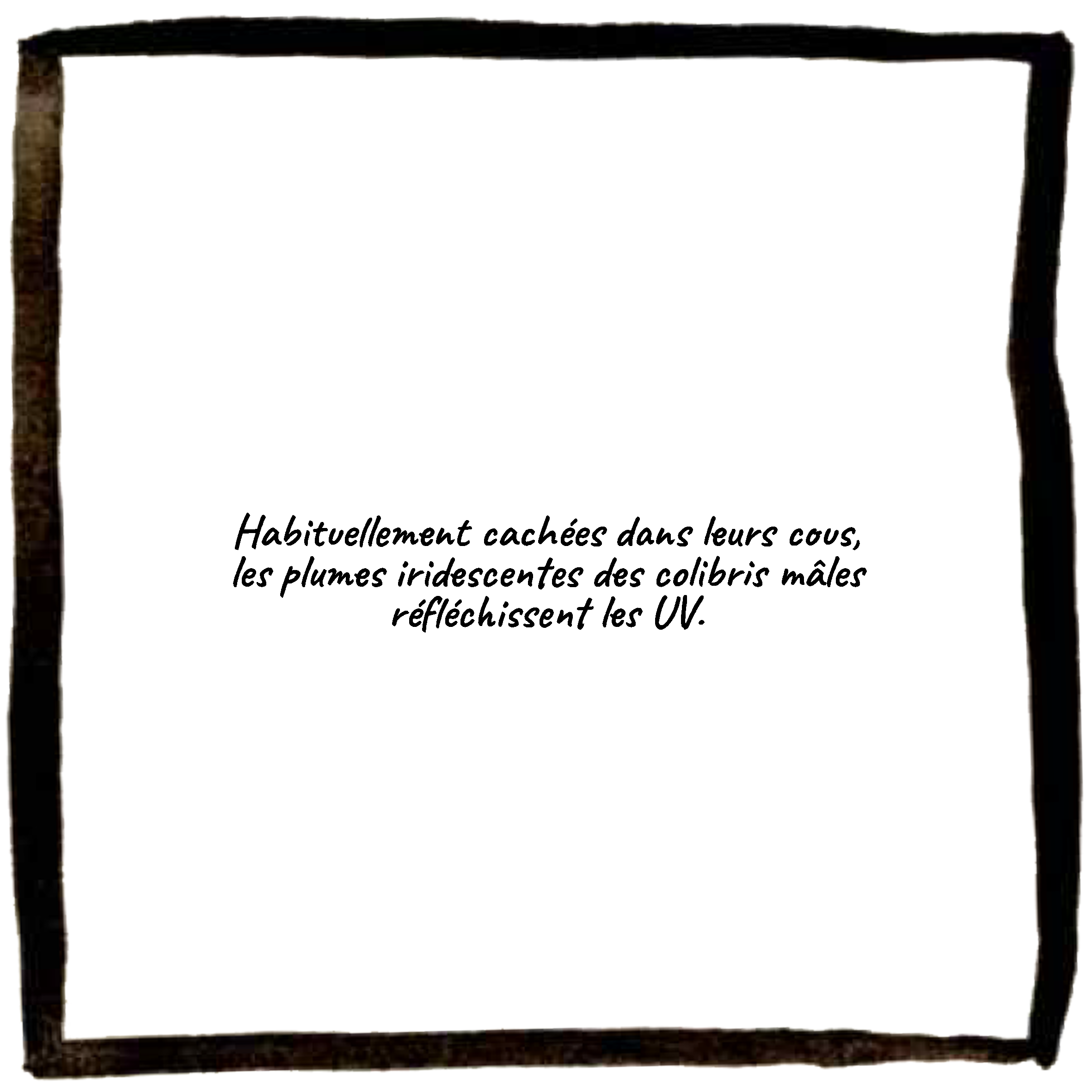 texte1