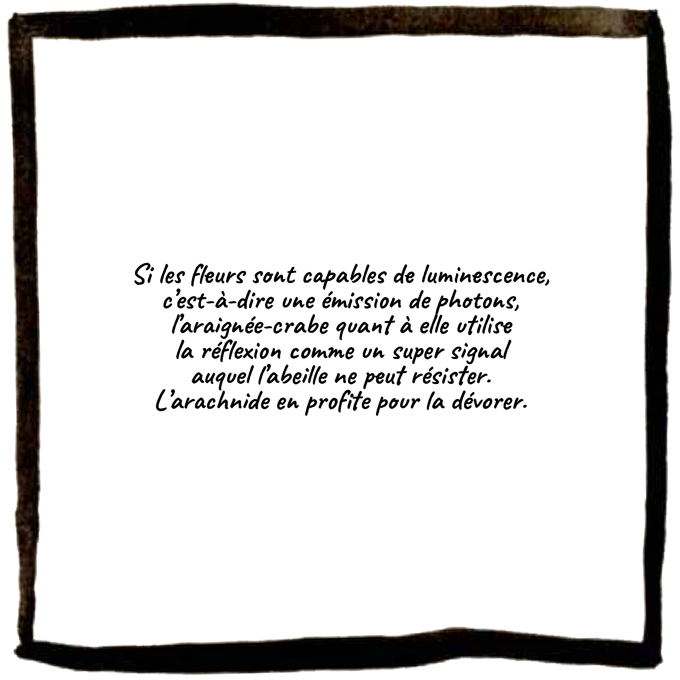 texte2