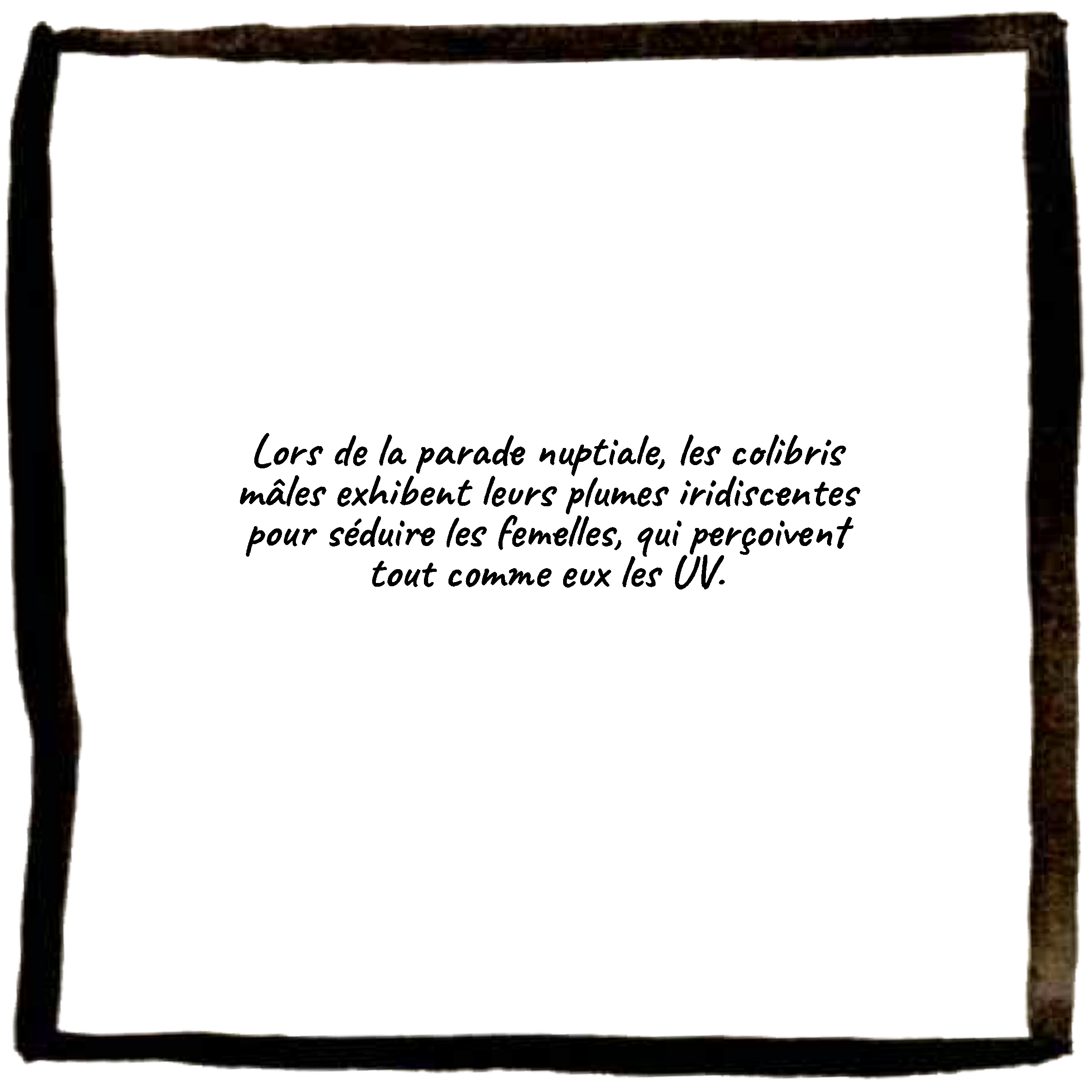 texte2